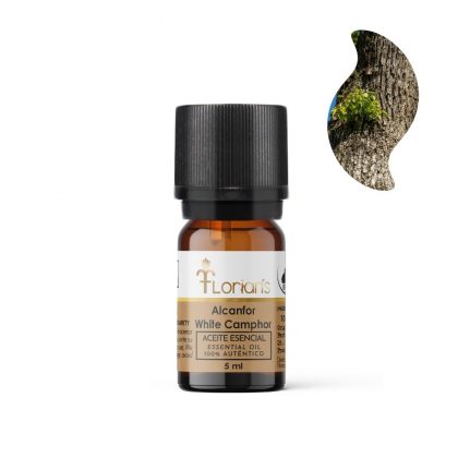 Aceite esencial de Alcanfor 5ml