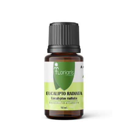 Aceite esencial de Eucalipto radiata