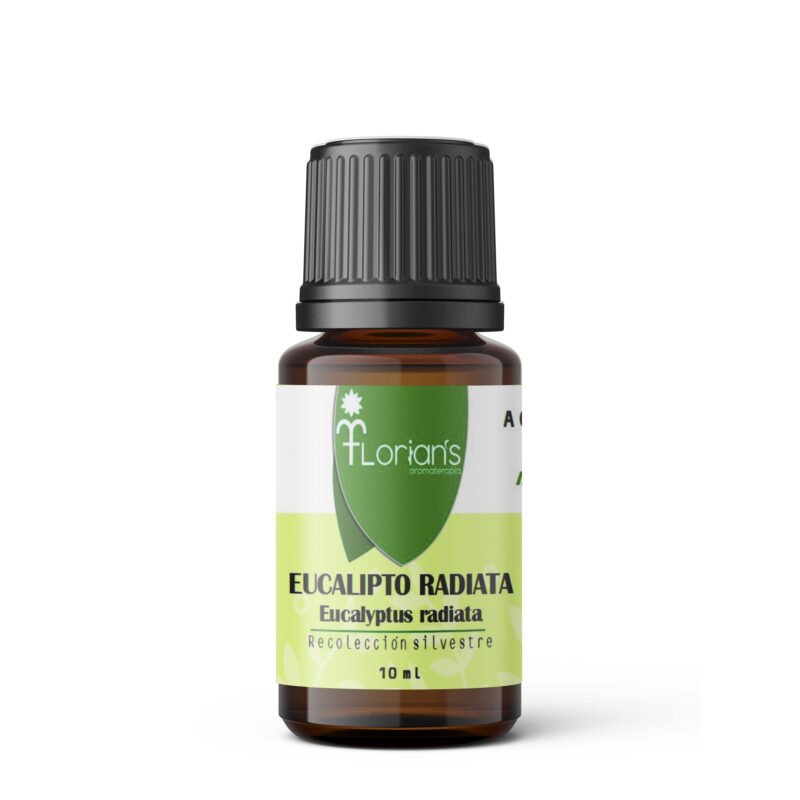 Aceite esencial de Eucalipto radiata
