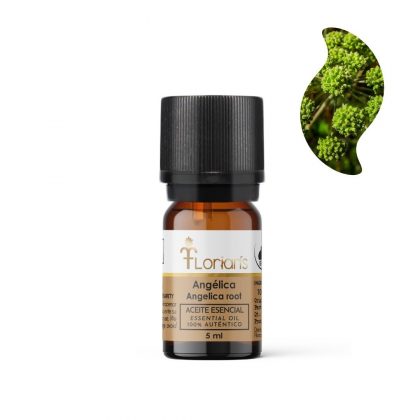 Aceite esencial de Ángelica 5ml