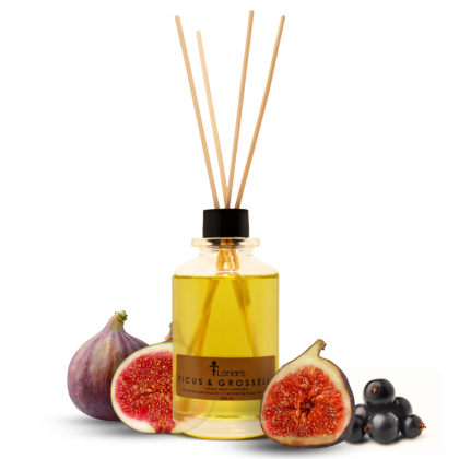 Ficus & Grosella Reed Diffuser