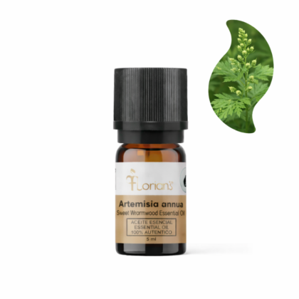 Aceite esencial de Artemisa Annua